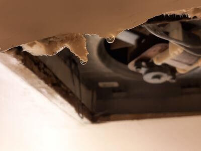 Professional ceiling water damage repair services in Chicopee - water damage cleanup